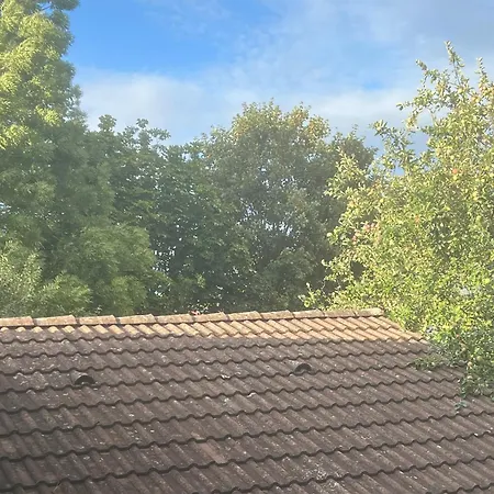 Turmfalke Apartamento Germaringen